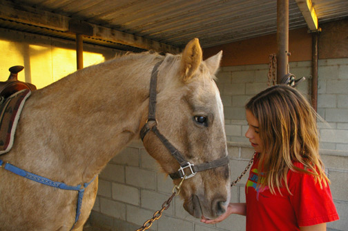 Sierra & Roper 