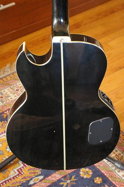 Washburn Fretless Acoustic Bass