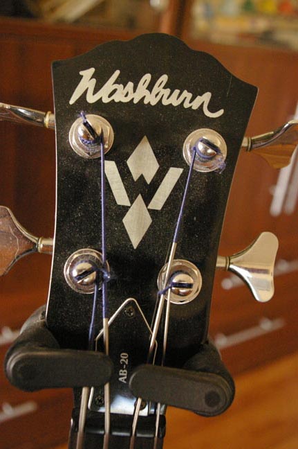Washburn Fretless Acoustic Bass
